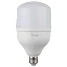 Лампа светодиодная ЭРА E27 20W 2700K матовая LED POWER T80-20W-2700-E27