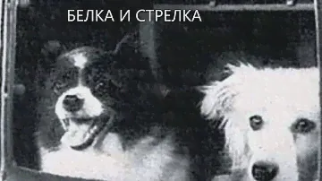 50 лет Космической Эры