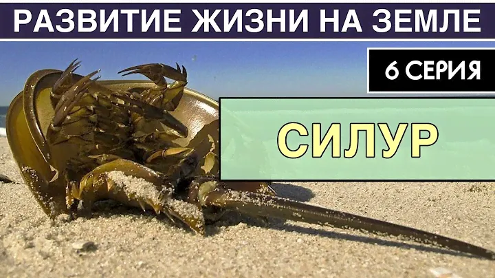 СИЛУРИЙСКИЙ ПЕРИОД. Развитие жизни на Земле. 6 серия | Колонизация суши